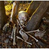 Skeleton Halloween Party Game
