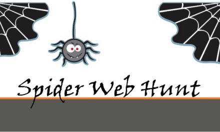 Spider Web Hunt