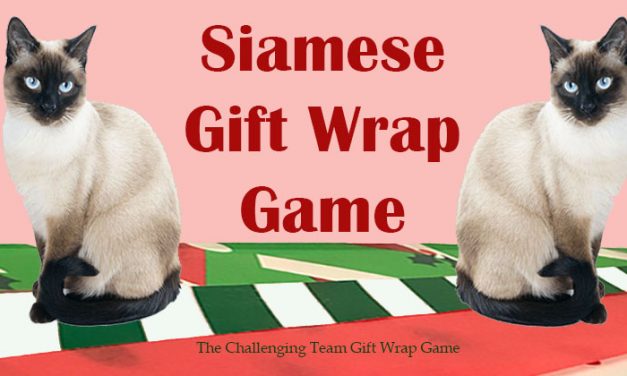 Siamese Gift Wrap Game