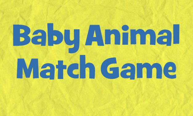 Baby Animal Match Game
