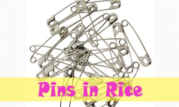 Pins in Rice Shower Game