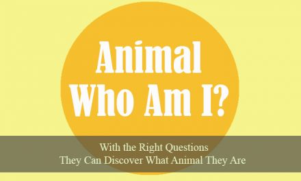 Animal Who Am I
